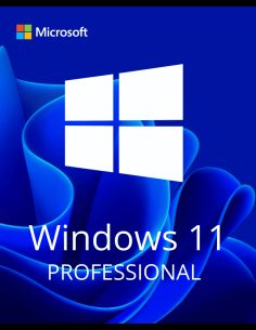 Microsoft Windows 11 Pro (Retail)