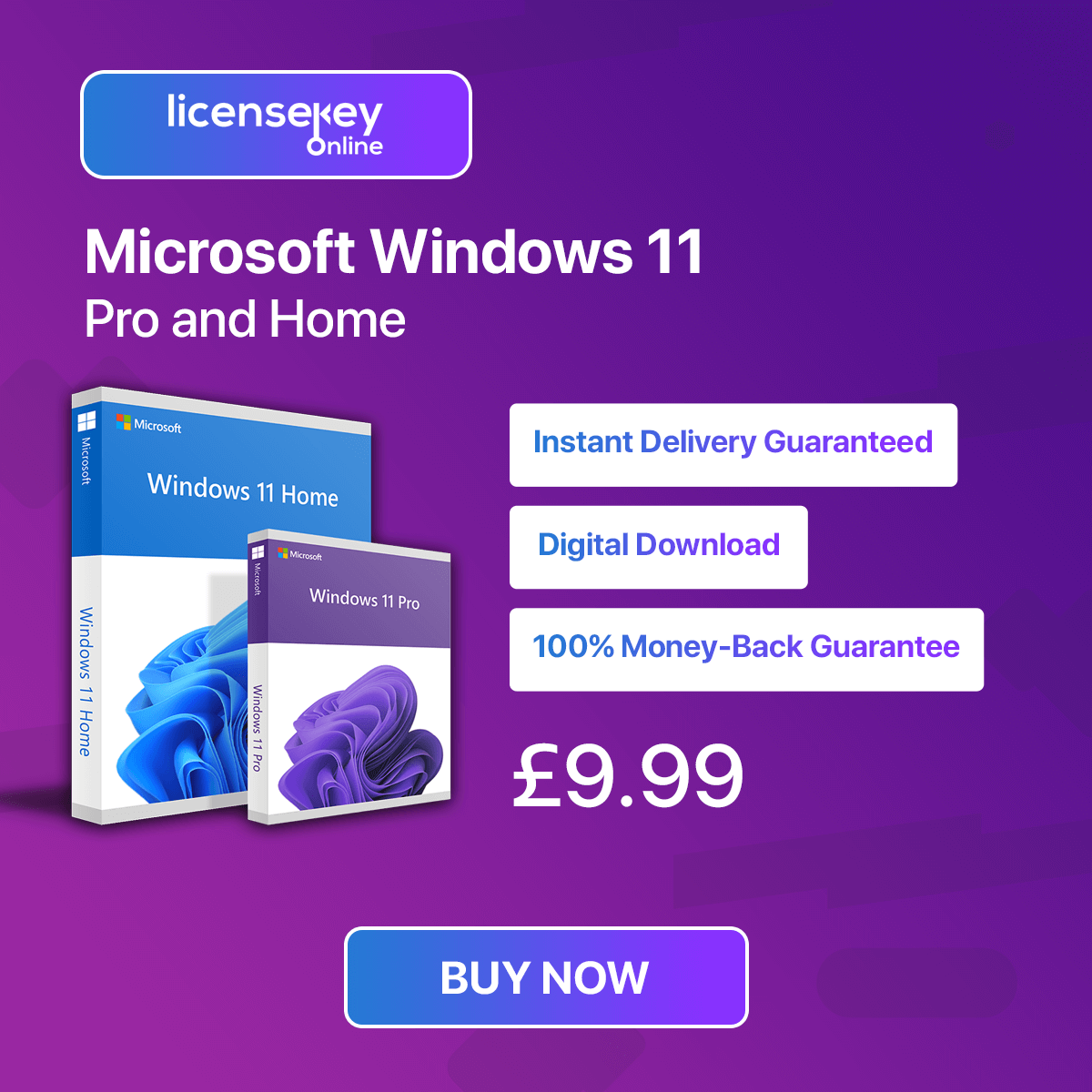 Windows 11